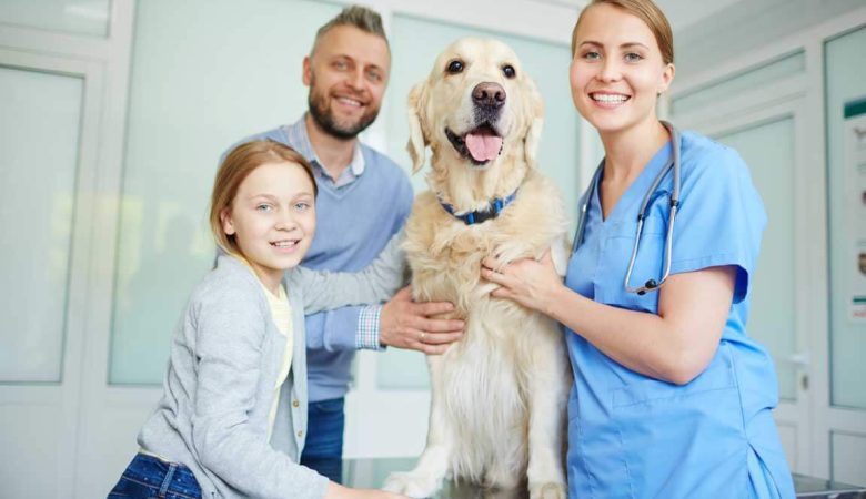 Dog Care