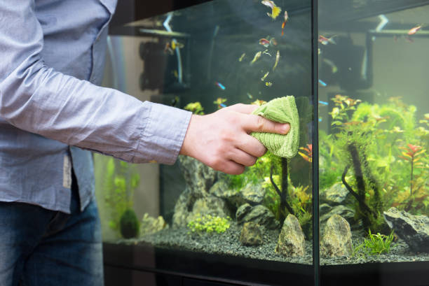 Fish & Aquarium Care
