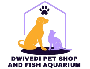 Dwivedi Pet Shop And Fish Aquarium