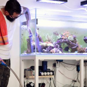 Aquarium Monthly maintenance