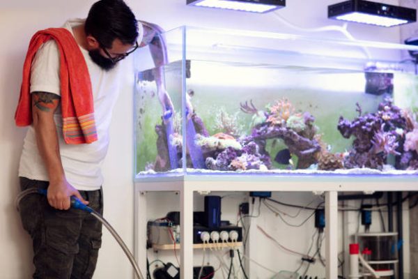 Aquarium Monthly maintenance
