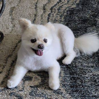 WhatsApp Image 2025-12-26 at 10.49.54 PM