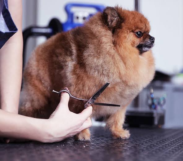 WhatsApp Image 2025-12-26 at 10.50.34 PM