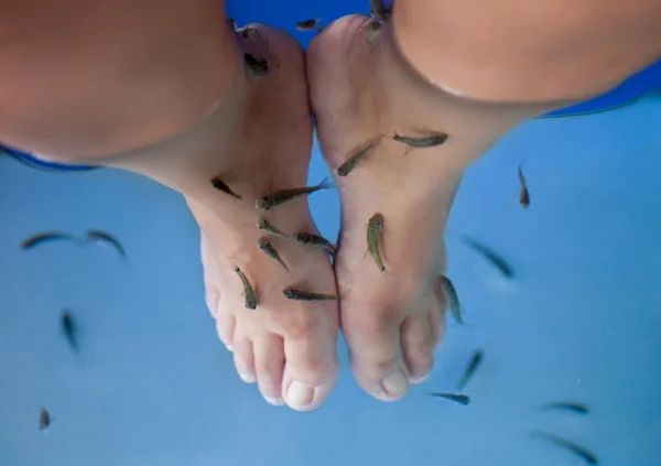 depositphotos_50862841-stock-photo-fish-spa-feet-pedicure-skin