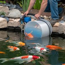 download - 2025-12-24T195703.296