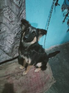 WhatsApp_Image_2026-01-02_at_11.46.11_PM[1]