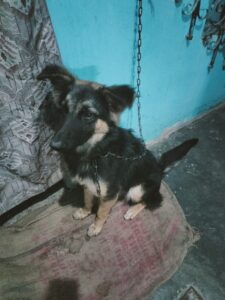 WhatsApp_Image_2026-01-02_at_11.46.11_PM_(1)[1]