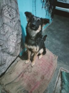 WhatsApp_Image_2026-01-02_at_11.46.12_PM_(1)[1]