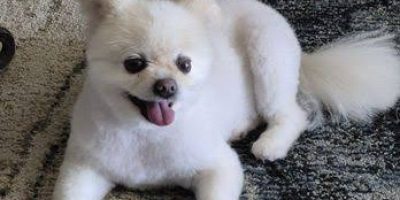 WhatsApp Image 2025-12-26 at 10.49.54 PM