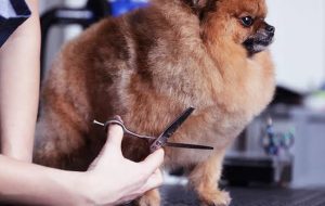 WhatsApp Image 2025-12-26 at 10.50.34 PM