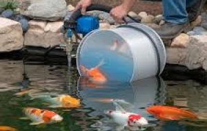 download - 2025-12-24T195703.296