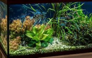 download - 2025-12-24T195742.843