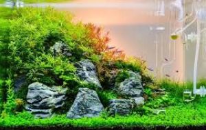 download - 2025-12-24T210439.362